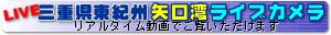 �O�d�����I�B����p���C�u�J����